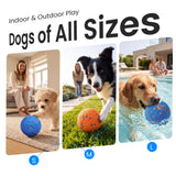 Dogs Playing with Skrmisda Dog Ball